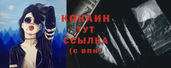 прущие грибы Горнозаводск