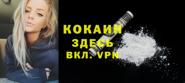 прущие грибы Горнозаводск