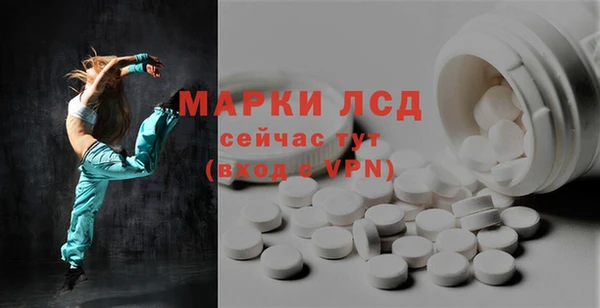 прущие грибы Горнозаводск