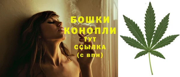 альфа пвп Горняк