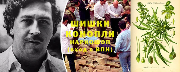 прущие грибы Горнозаводск