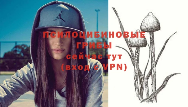 МДПВ Горно-Алтайск