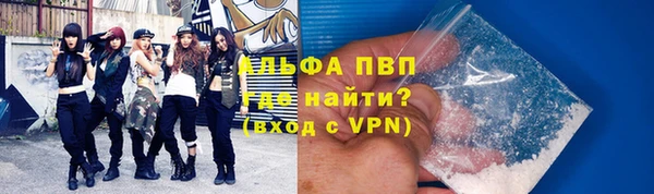 прущие грибы Горнозаводск