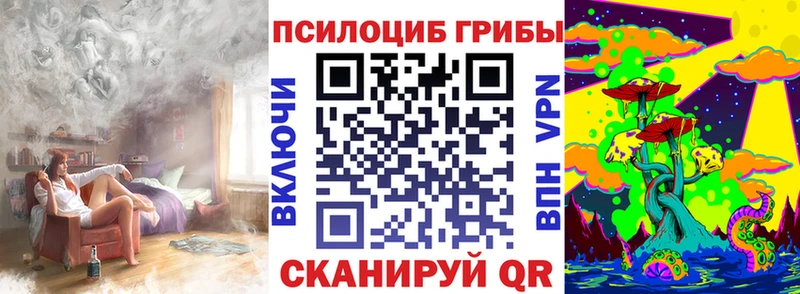 Купить закладки  Ржев  Галлюциногенные грибы Psilocybe 