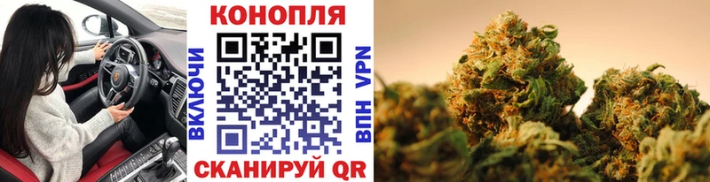 Каннабис SATIVA & INDICA  Купить закладки  Ржев 